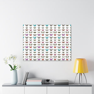 Butterfly and Moth Stretched Canvas