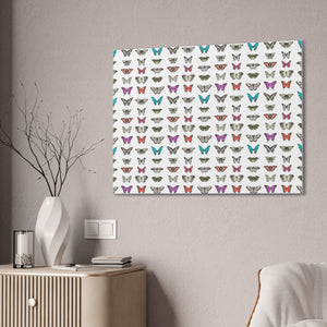 Butterfly and Moth Stretched Canvas