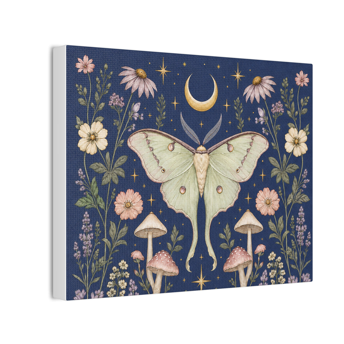 Luna Apothecary Indigo Stretched Canvas