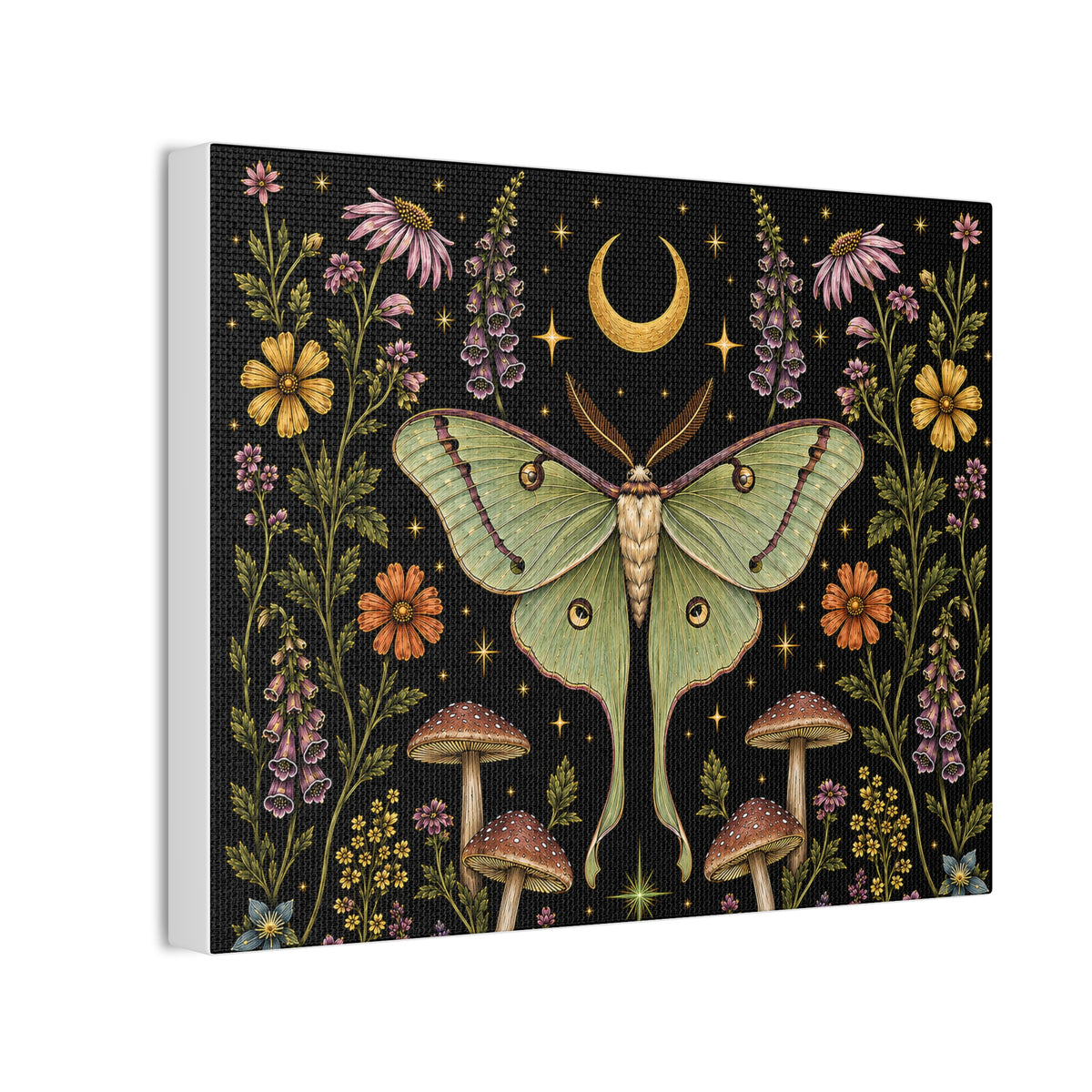 Luna Apothecary Nocturne Stretched Canvas