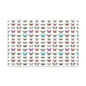 Butterfly and Moth Stretched Canvas