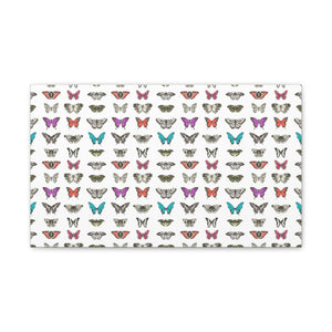 Butterfly and Moth Stretched Canvas