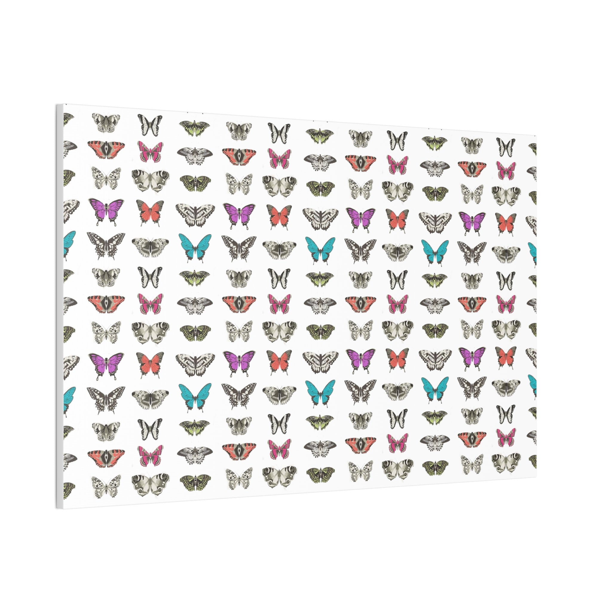 Butterfly and Moth Stretched Canvas