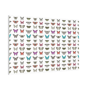 Butterfly and Moth Stretched Canvas