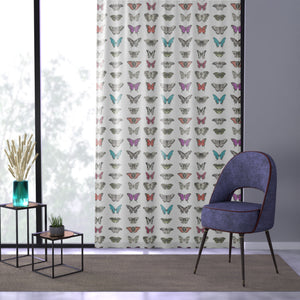 Butterfly and Moth Window Curtain