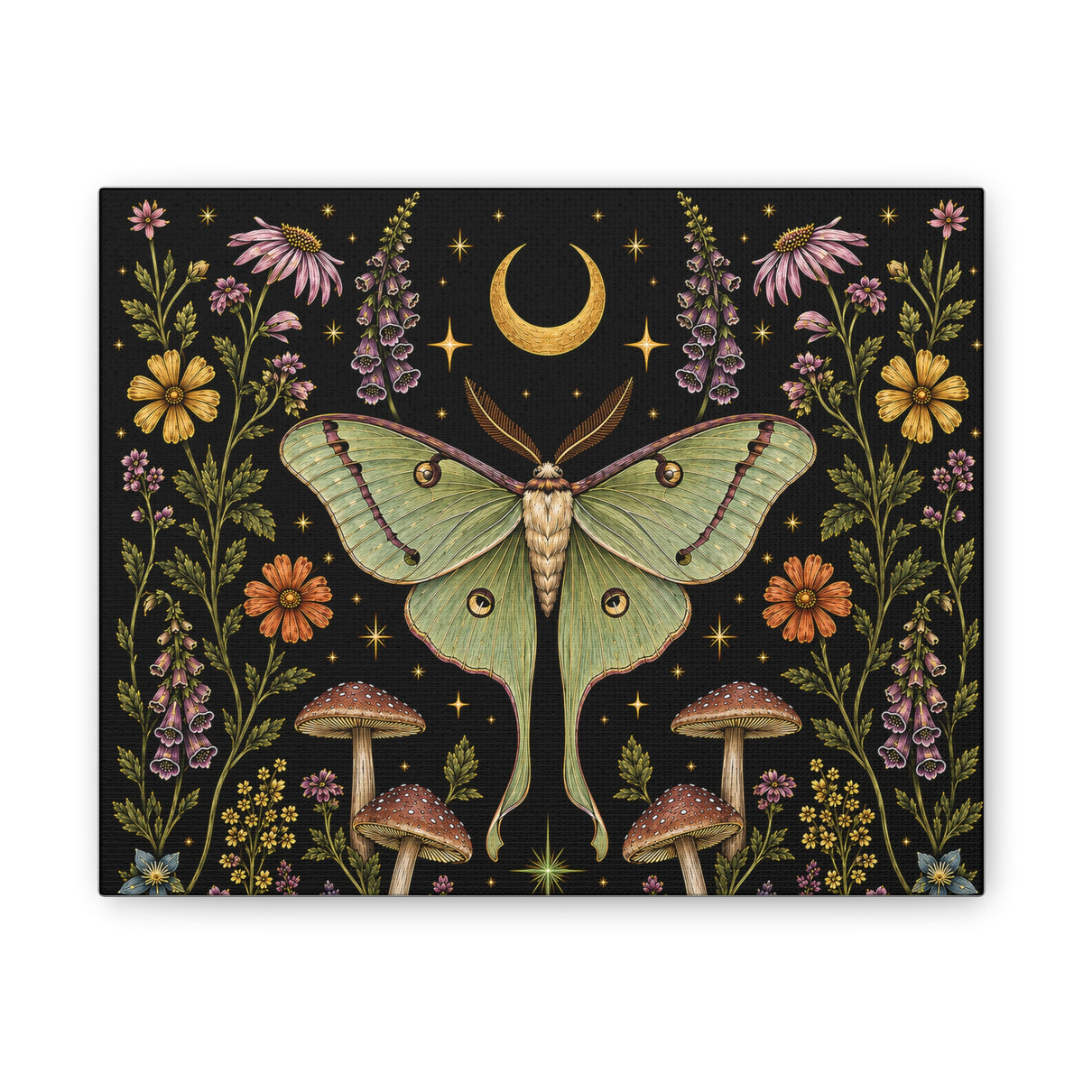 Luna Apothecary Nocturne Stretched Canvas