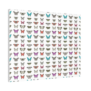 Butterfly and Moth Stretched Canvas