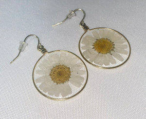 White Wild Daisy Rose Quartz Earrings