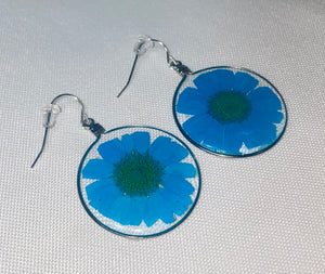 Blue Wild Daisy Rose Quartz Earrings