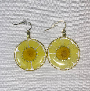 Yellow Wild Daisy Rose Quartz Earrings